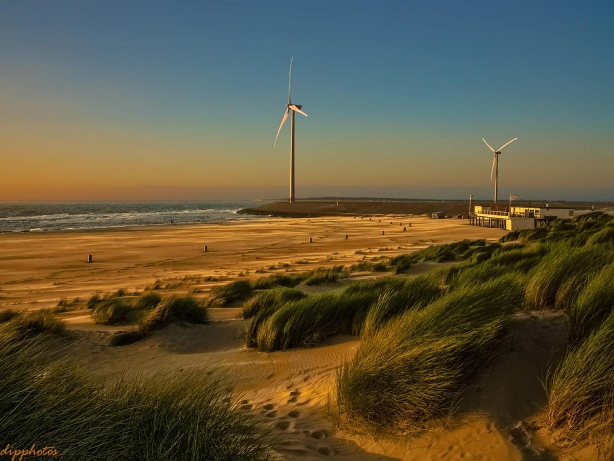 Superb Apartment Near The Beach In Vrouwenpolder Buitenkant foto